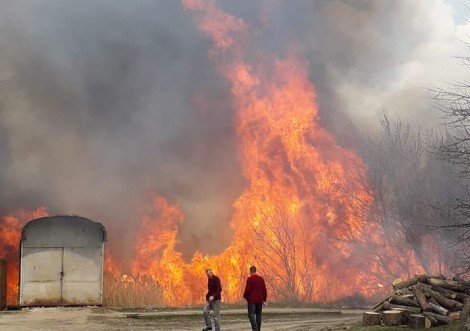 У Тростянці горить луг біля багатоповерхівок