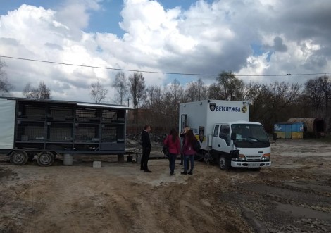 У Тростянець приїхали ветслужба для відлову та стерилізації безхатніх тварин